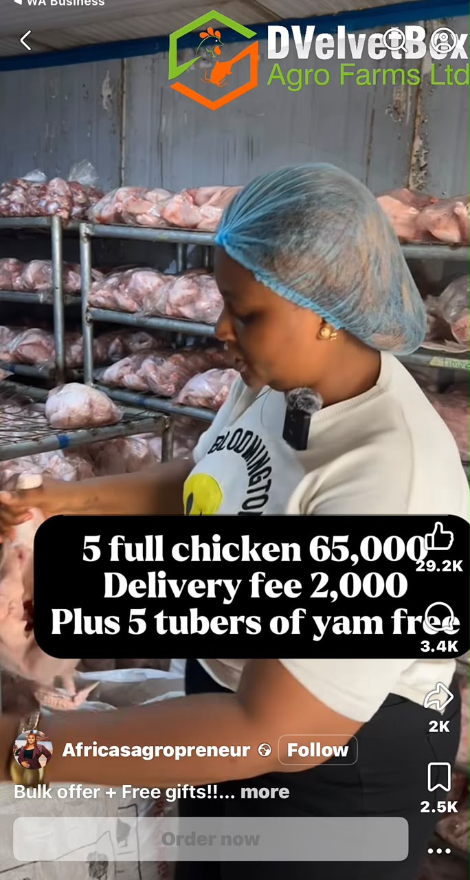 Reel creative offering 5 full chickens for 65,000 naira with 5 tubers of yam free